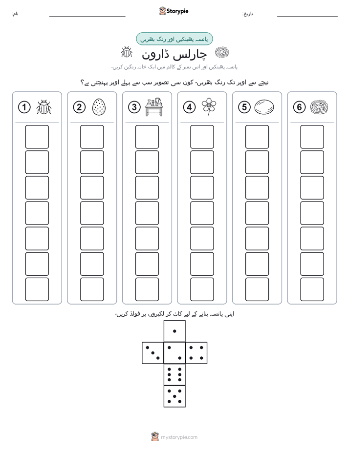 رول اور رنگ