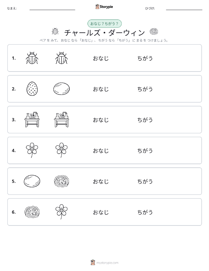 同じか違うか