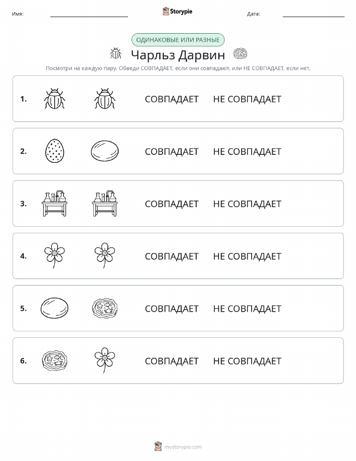 Одинаковое или разное