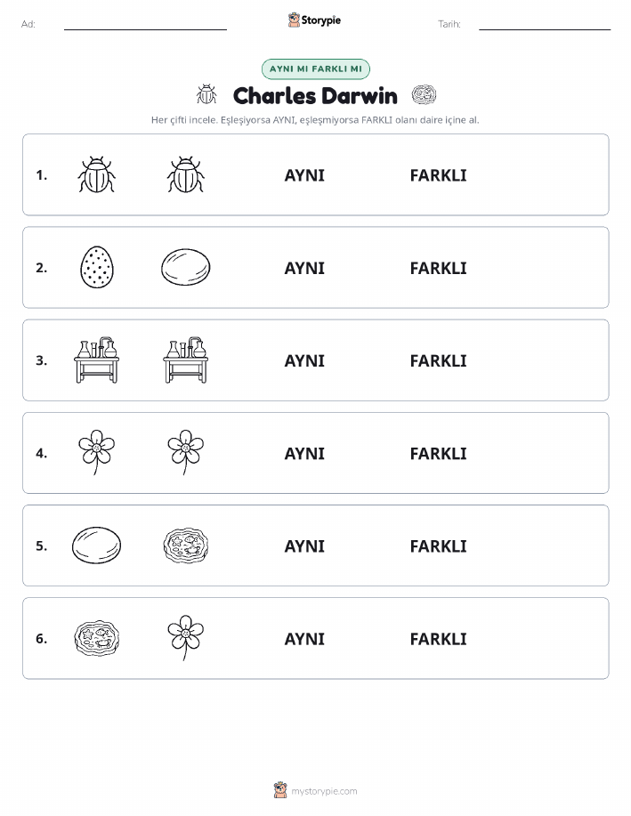 Aynı mı Farklı mı
