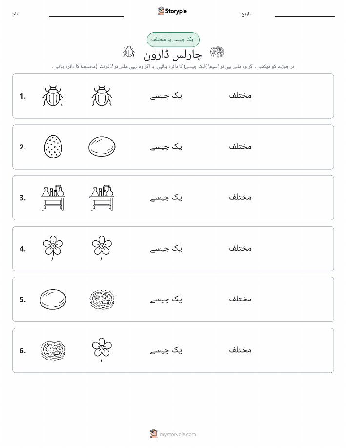 ایک جیسا یا مختلف