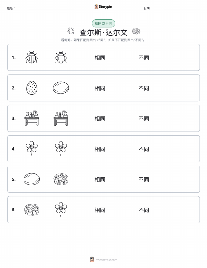 相同或不同