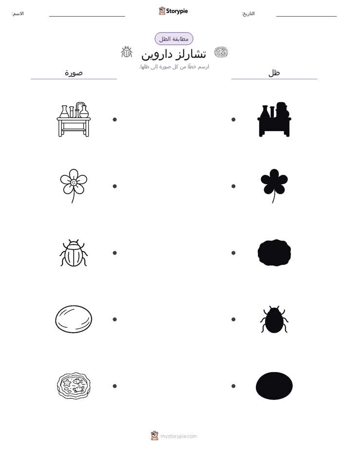 مطابقة الظل