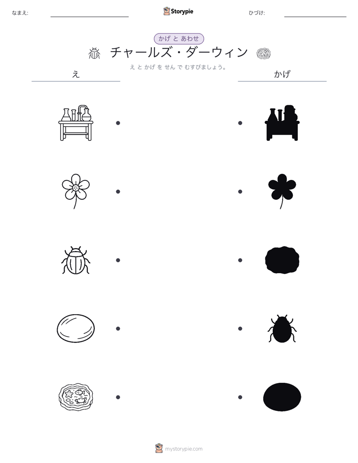 シャドウマッチ