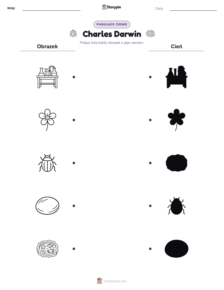 Dopasowanie cieni