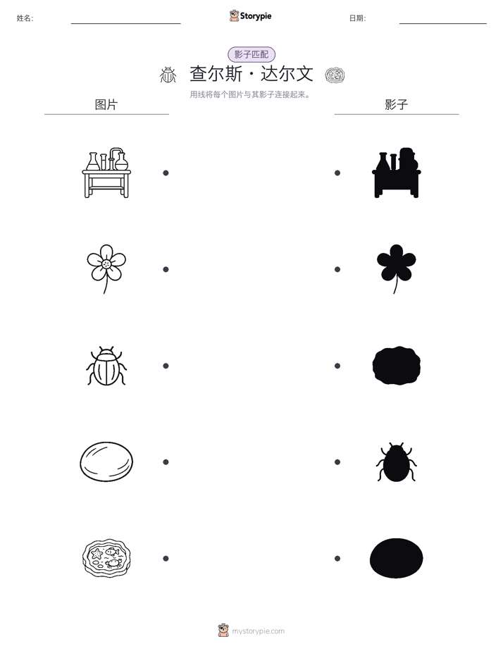 影子匹配