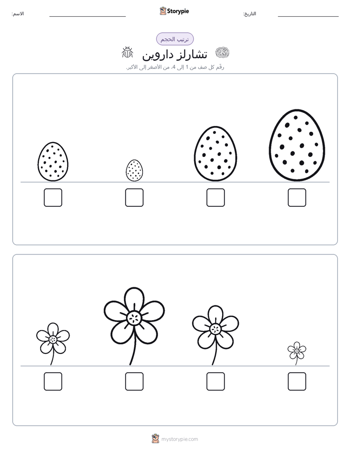 ترتيب الحجم
