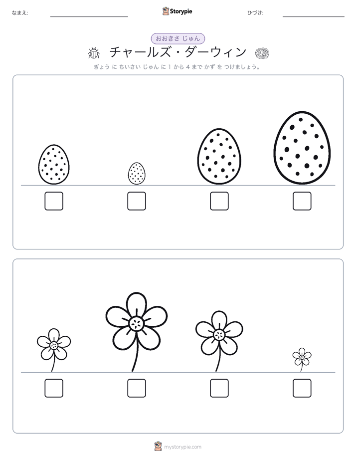 サイズ順