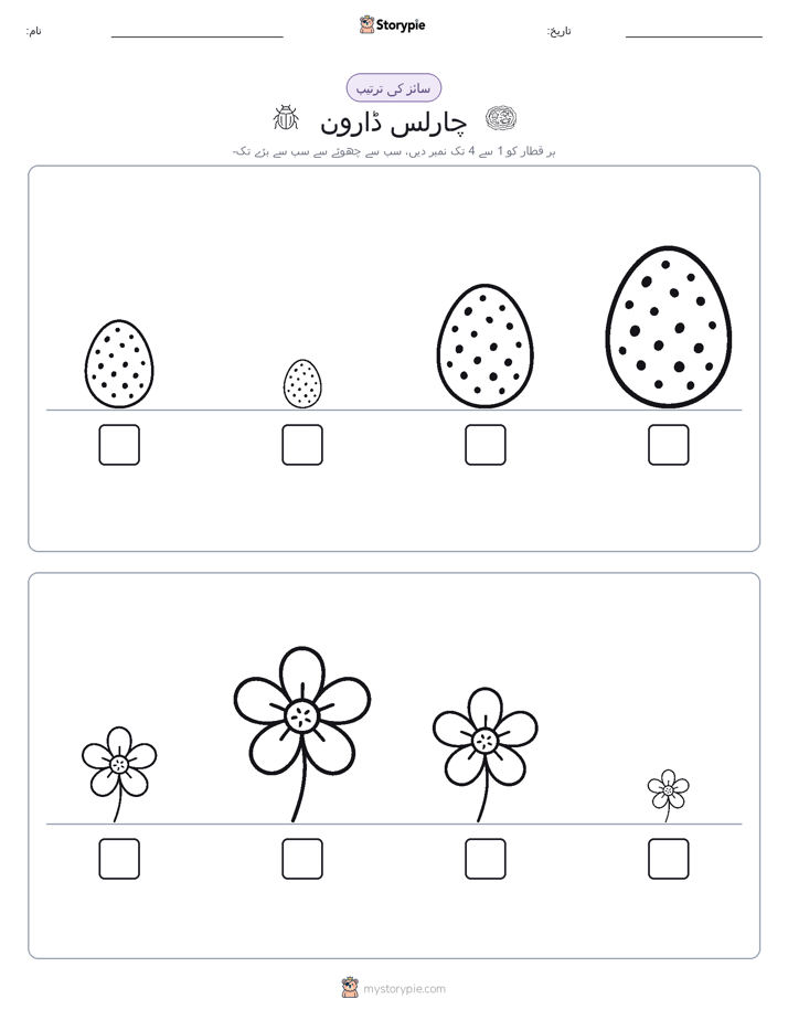 سائز کی ترتیب