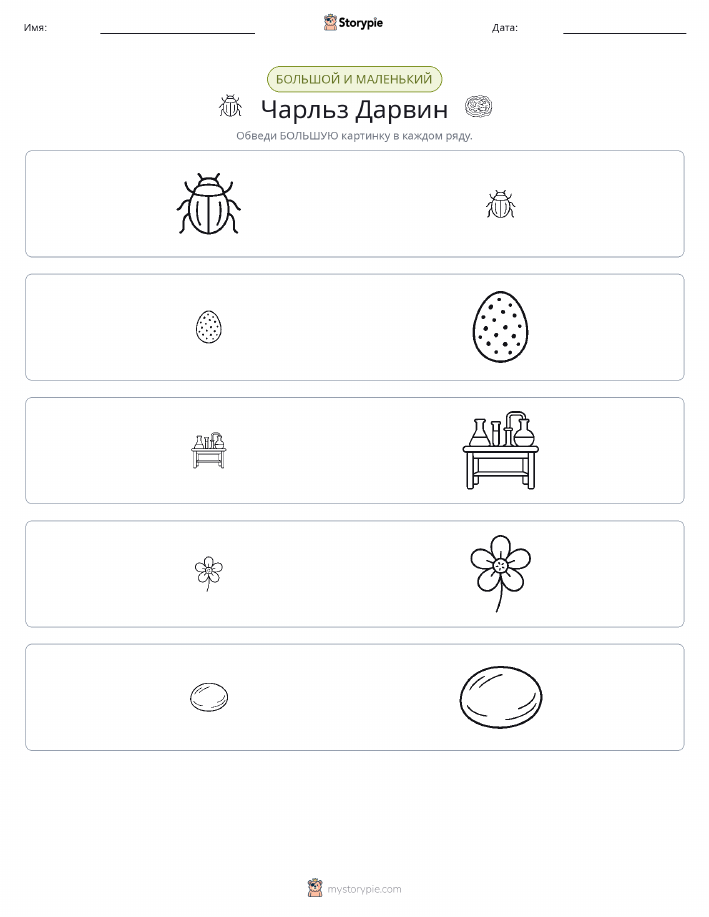 Сортировка