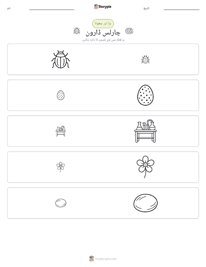 ترتیب دینا