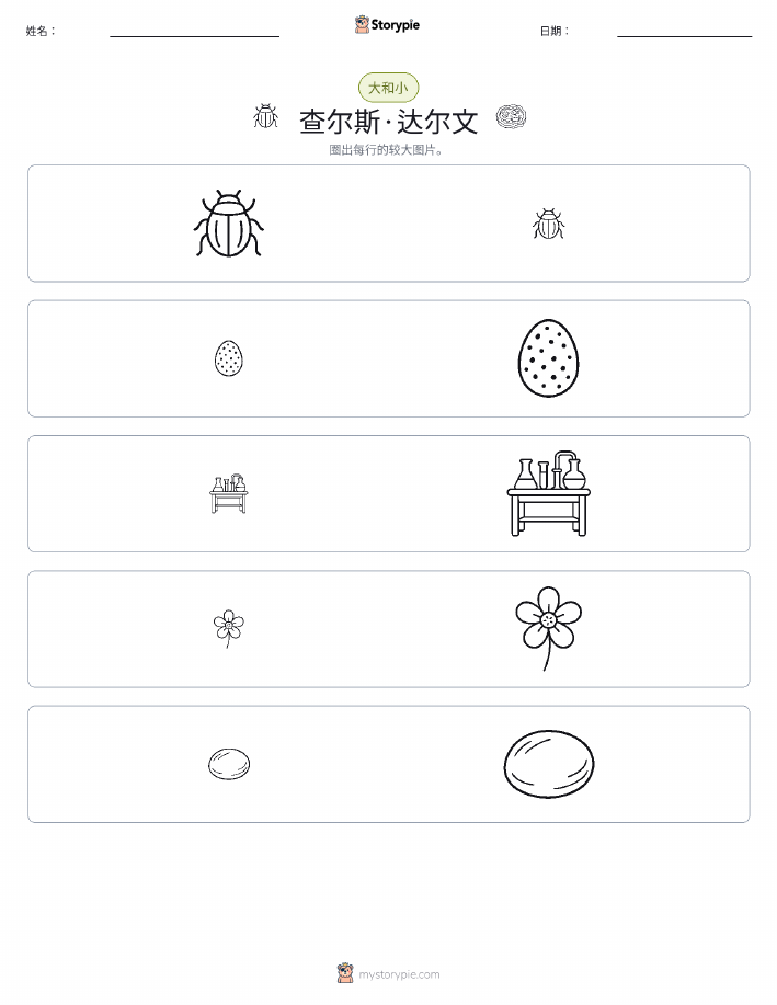 分类