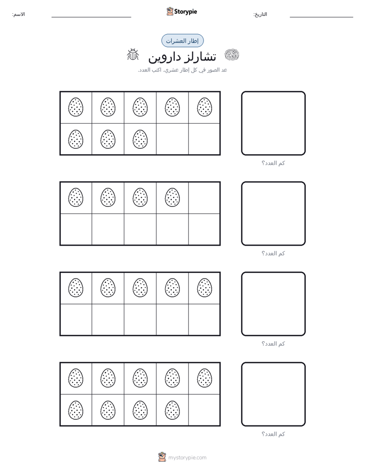 إطار العشرة