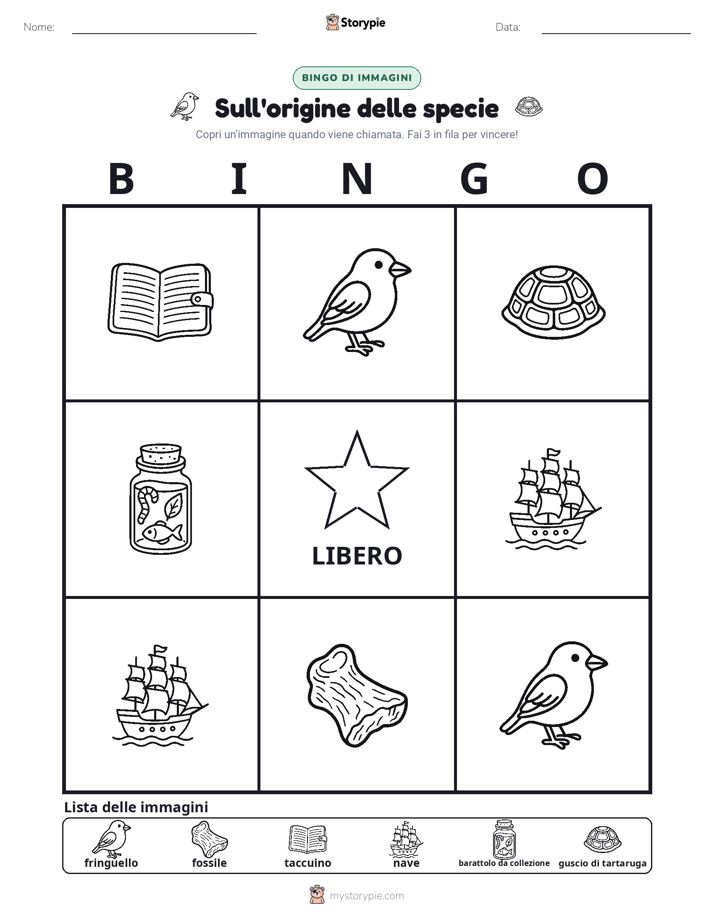 Bingo delle Immagini