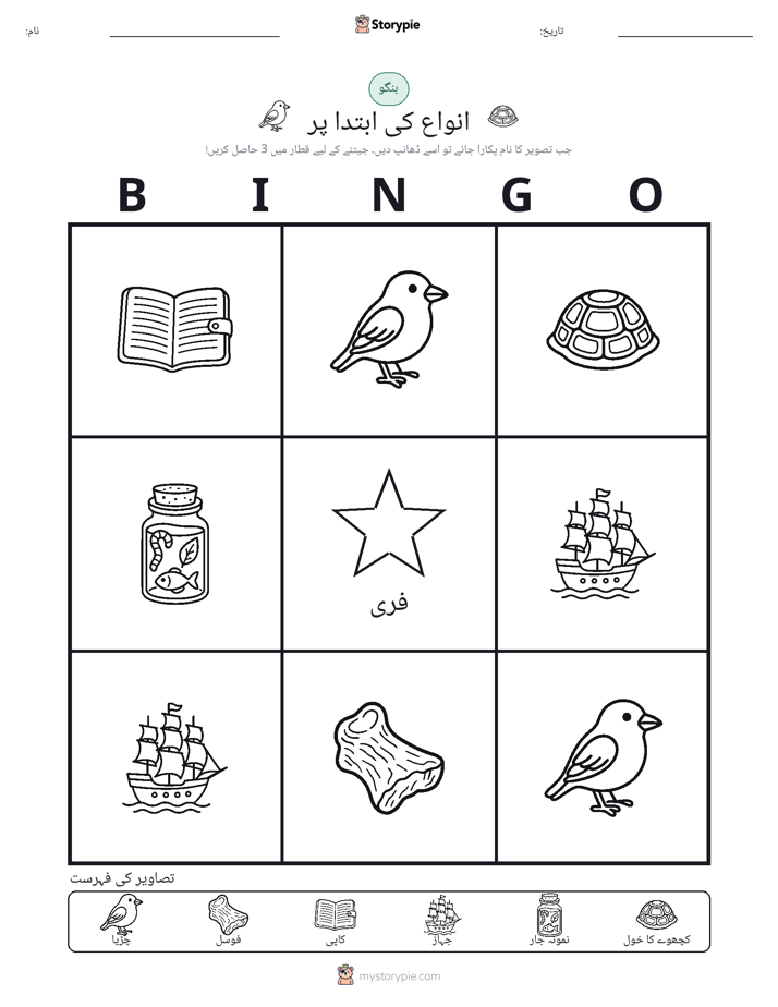 تصویری بنگو