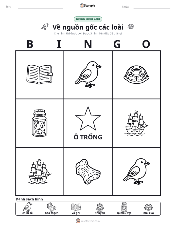 Bingo Hình Ảnh