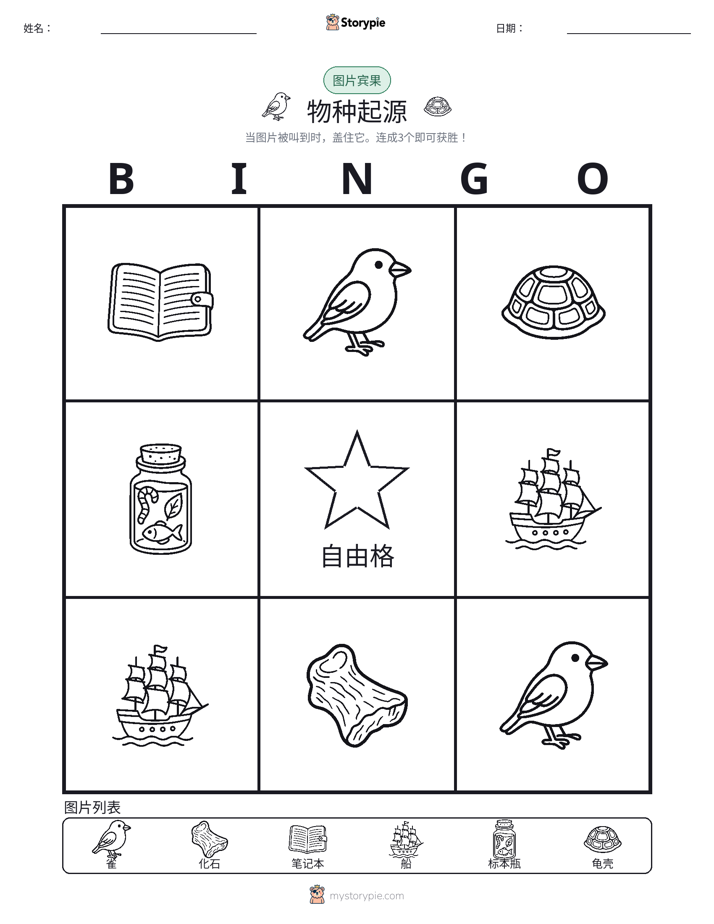 图片宾果