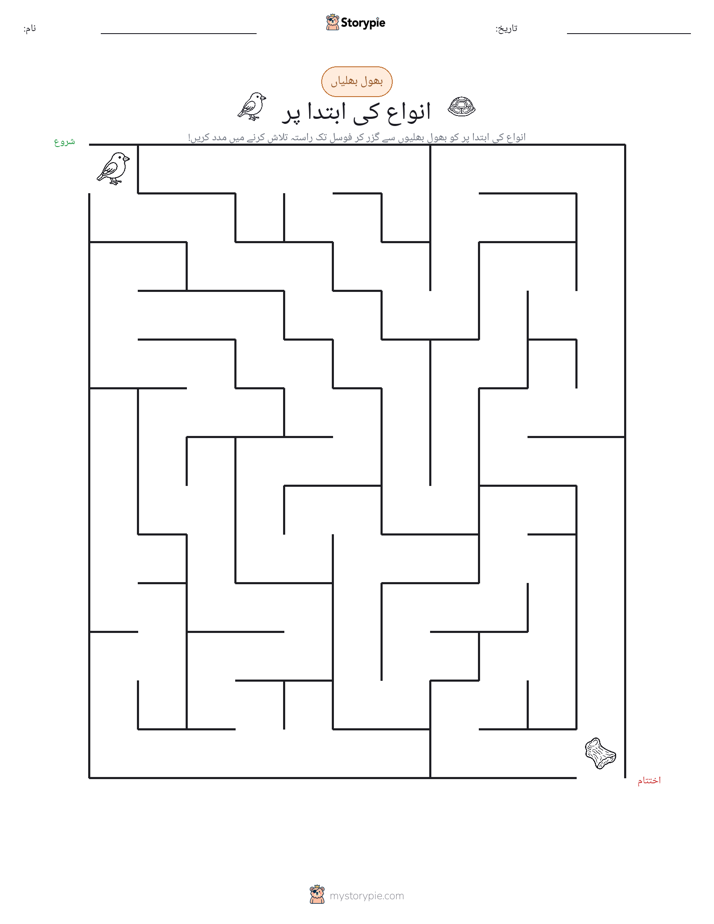 بھول بھلیاں