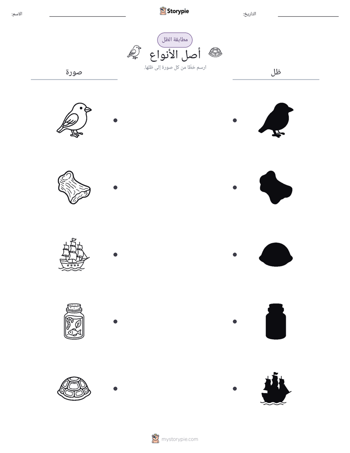 مطابقة الظل