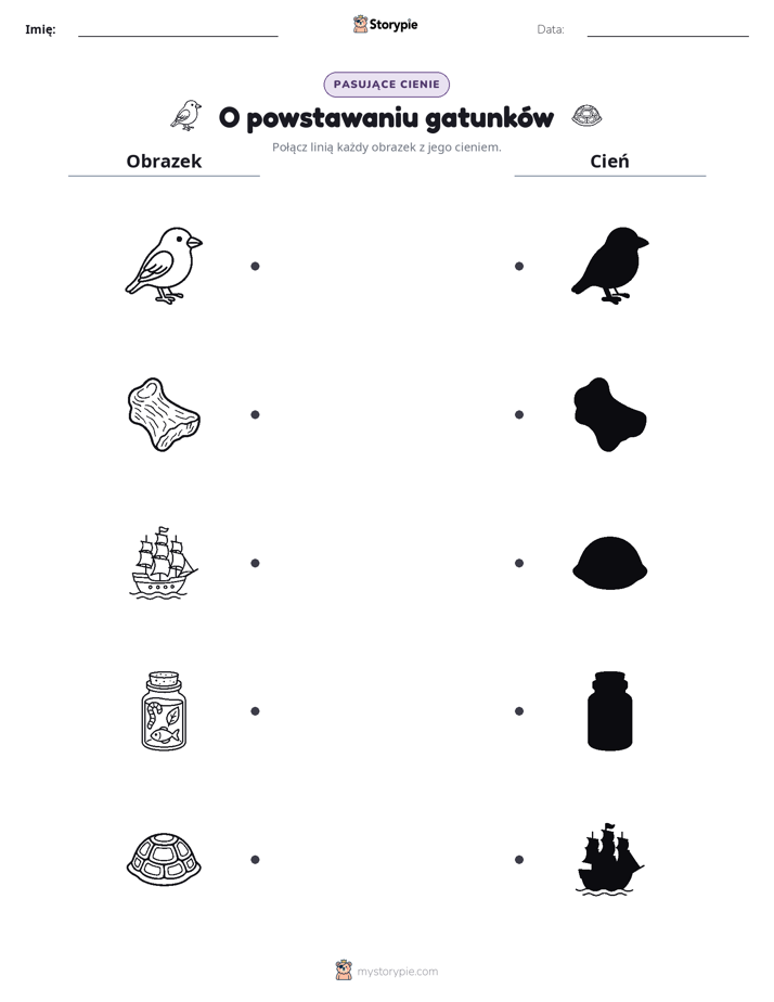 Dopasowanie cieni