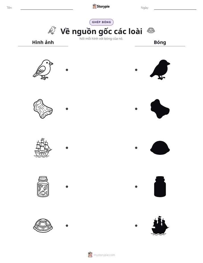 Ghép Hình Bóng