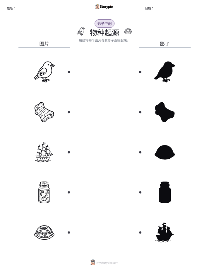 影子匹配