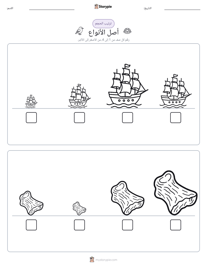 ترتيب الحجم