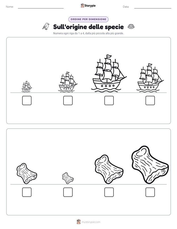 Ordine di Dimensione