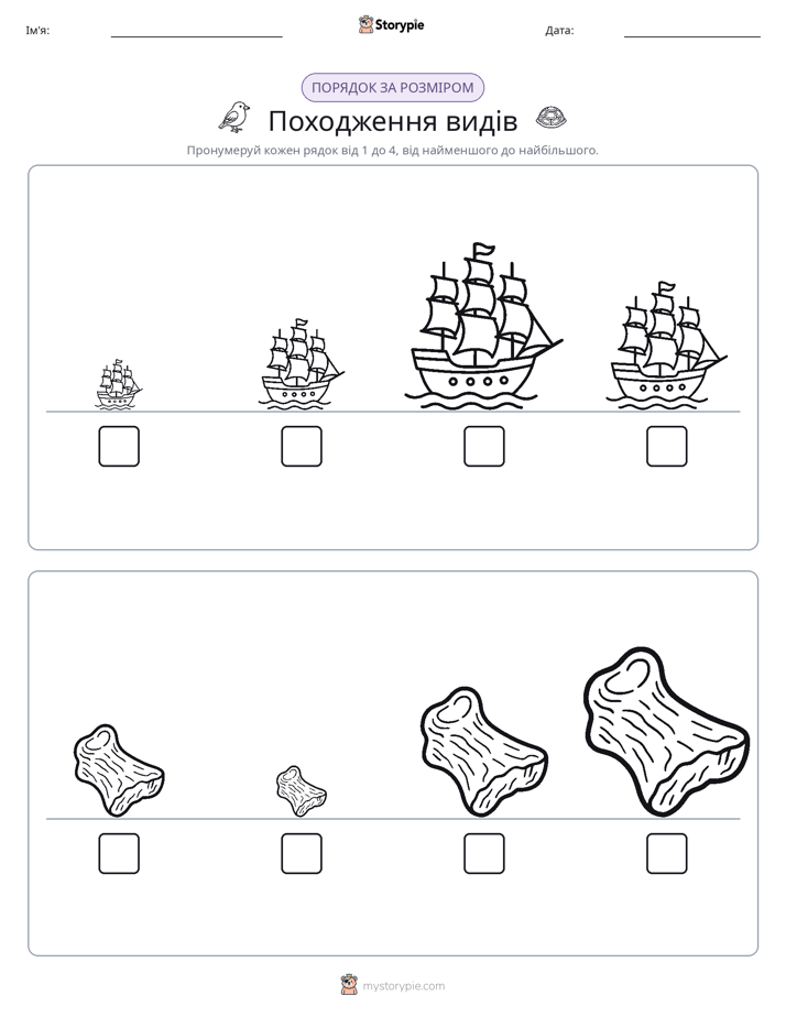 Порядок Розміру