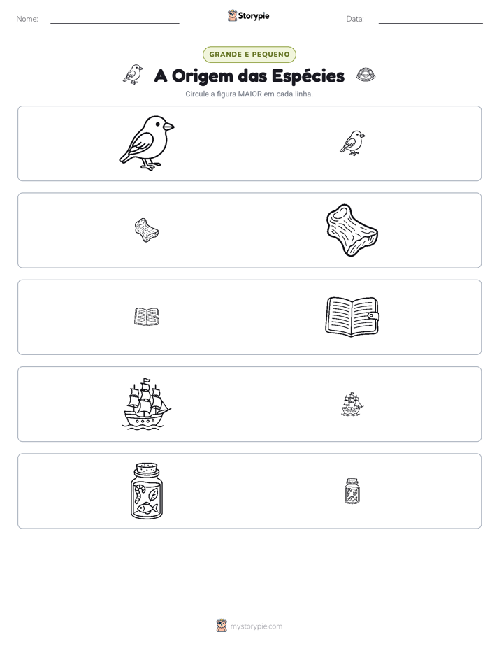 Classificação