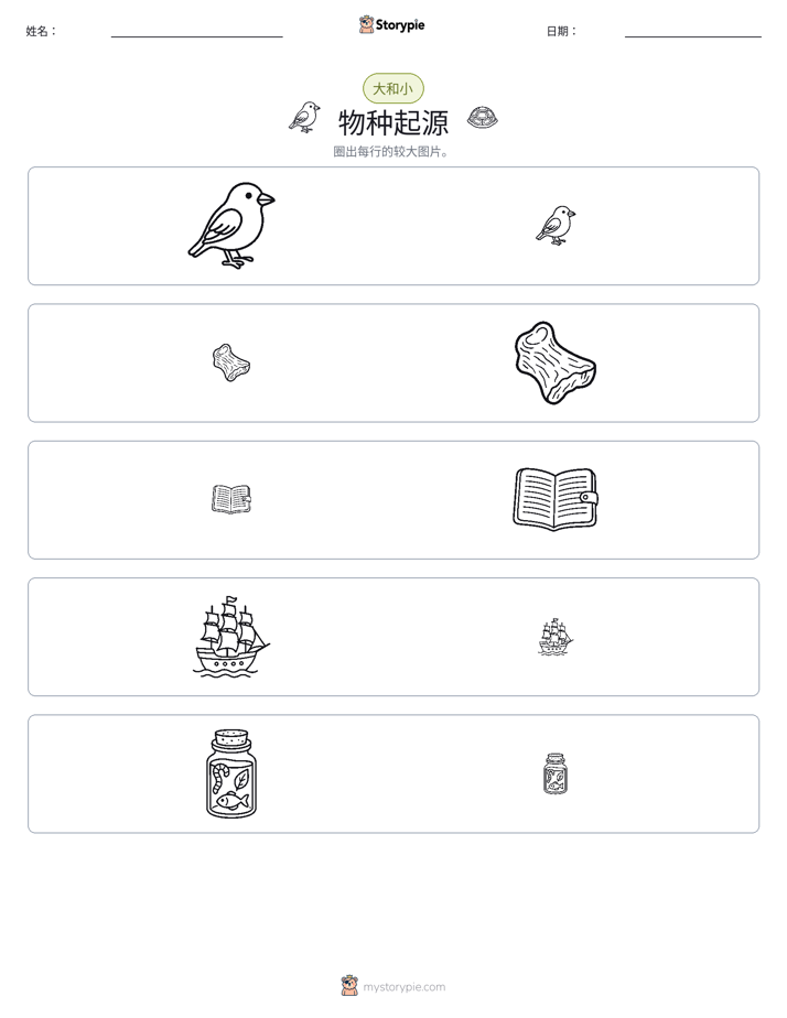 分类