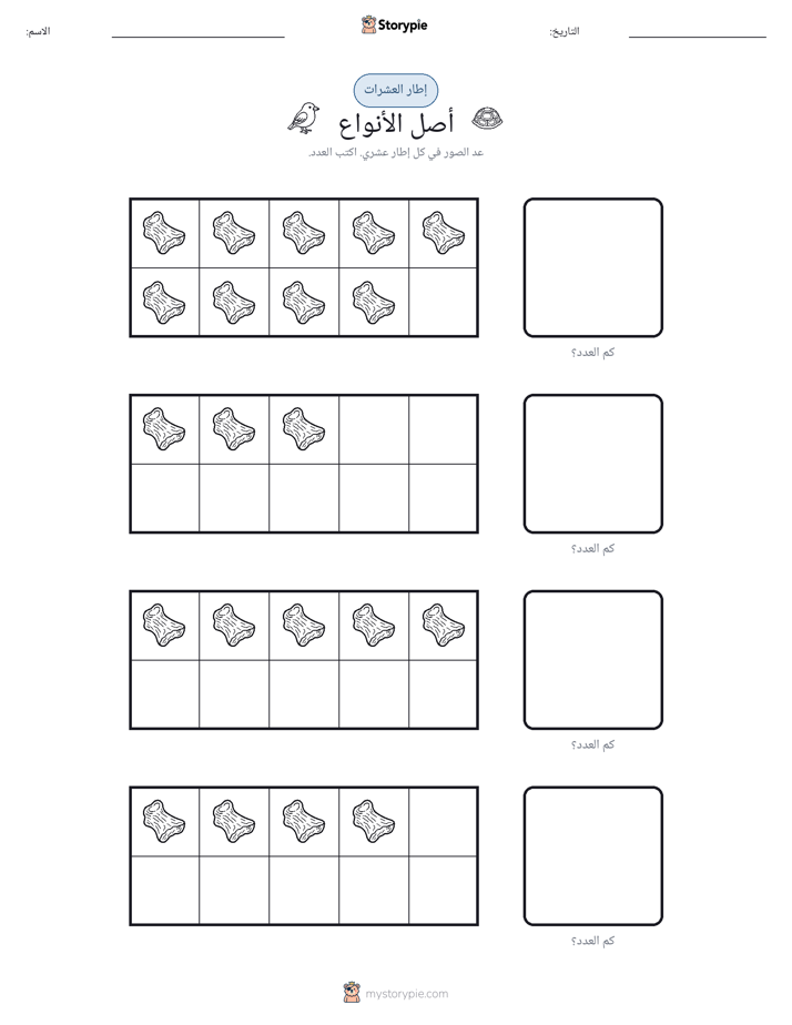 إطار العشرة