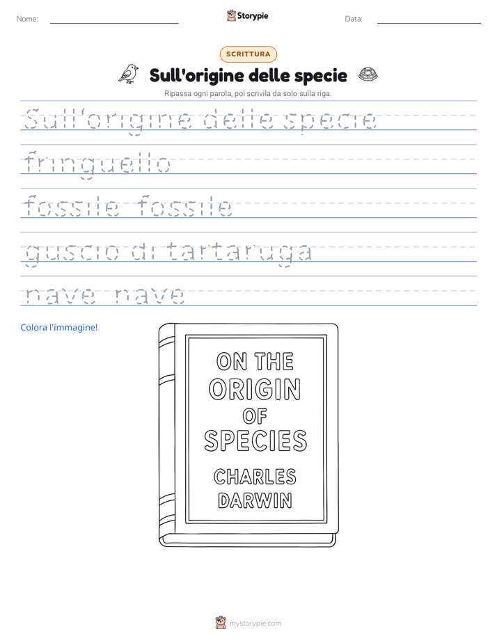 Pratica di Scrittura