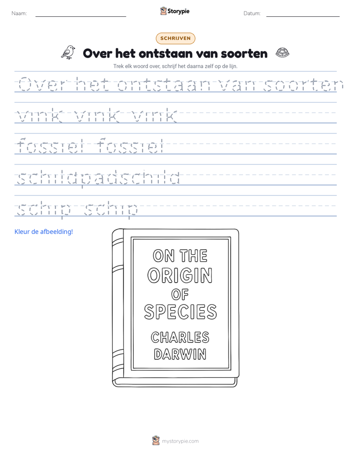 Schrijf Oefening