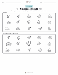 Galápagos Islands printable worksheet preview