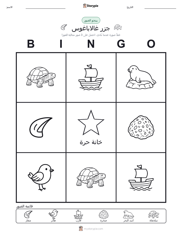 بينغو الصور