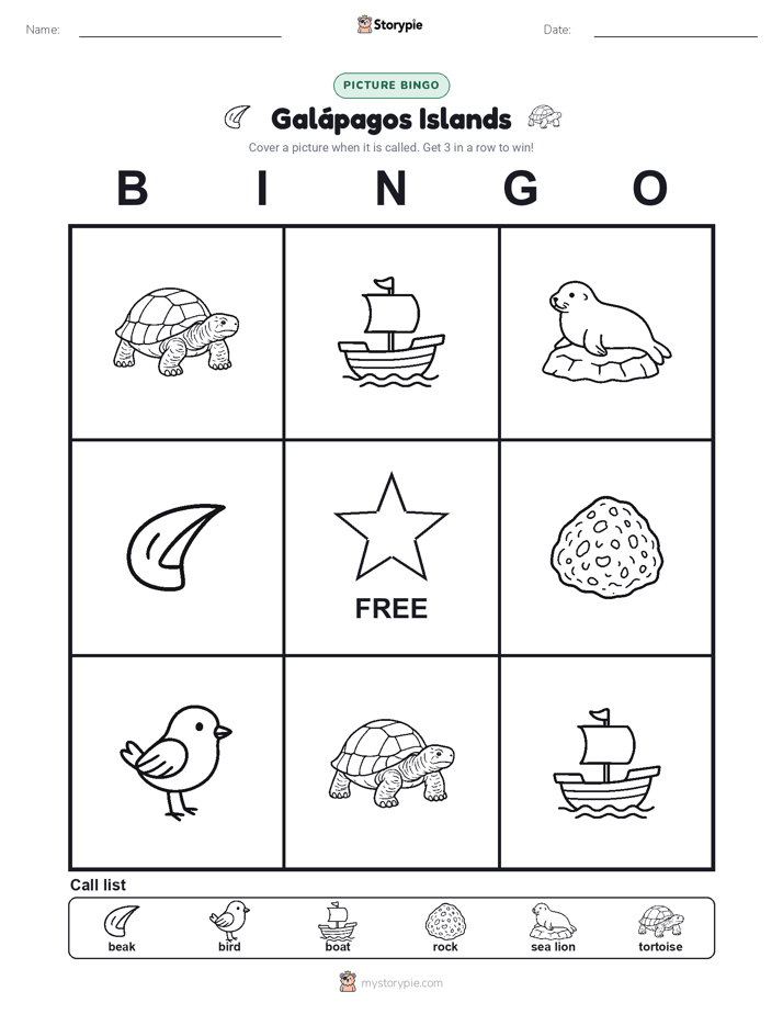 Picture Bingo