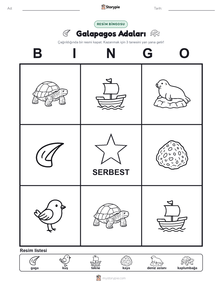 Resim Bingo