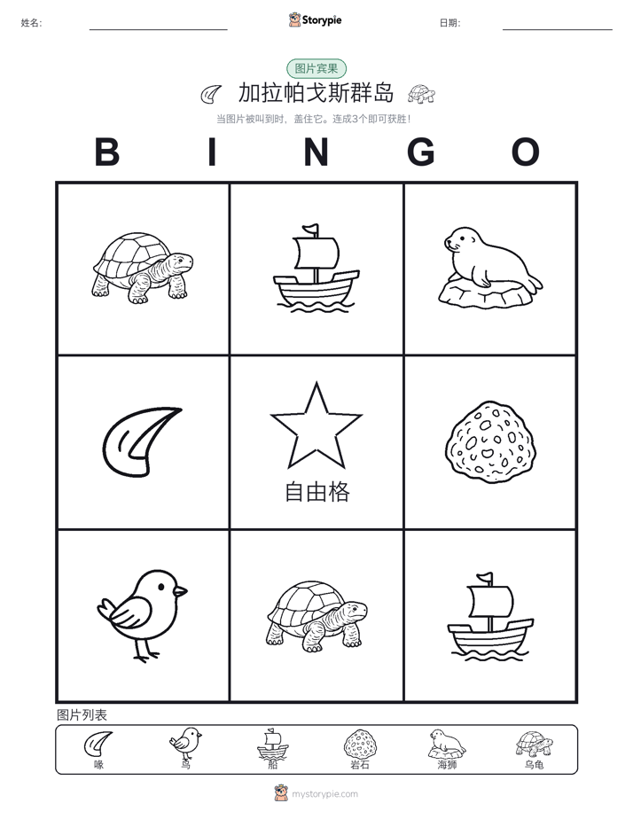 图片宾果