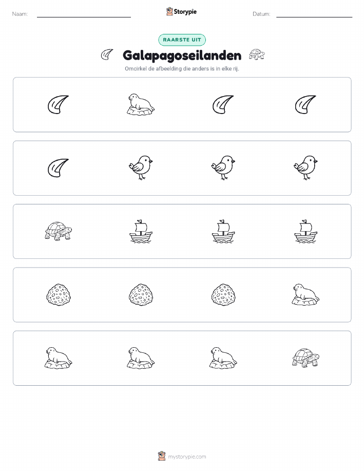 Vreemde Tussenuit