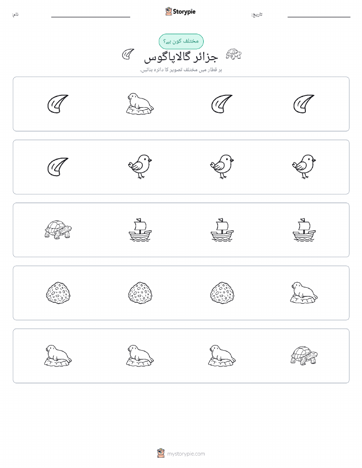 عجیب ایک