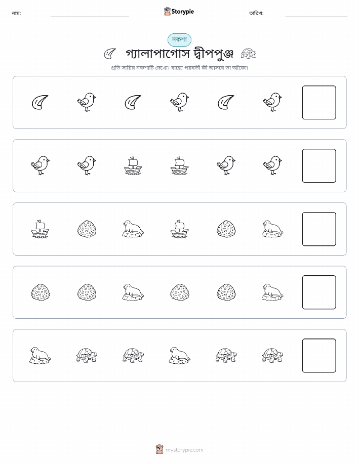 প্যাটার্ন