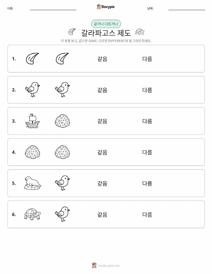 같은 것 또는 다른 것