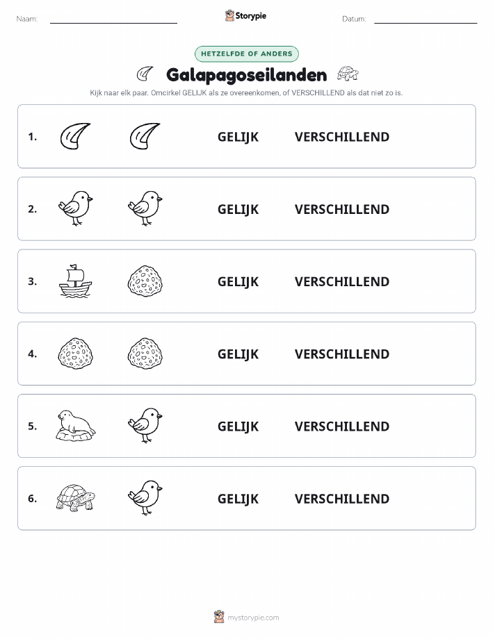 Zelfde of Verschillend