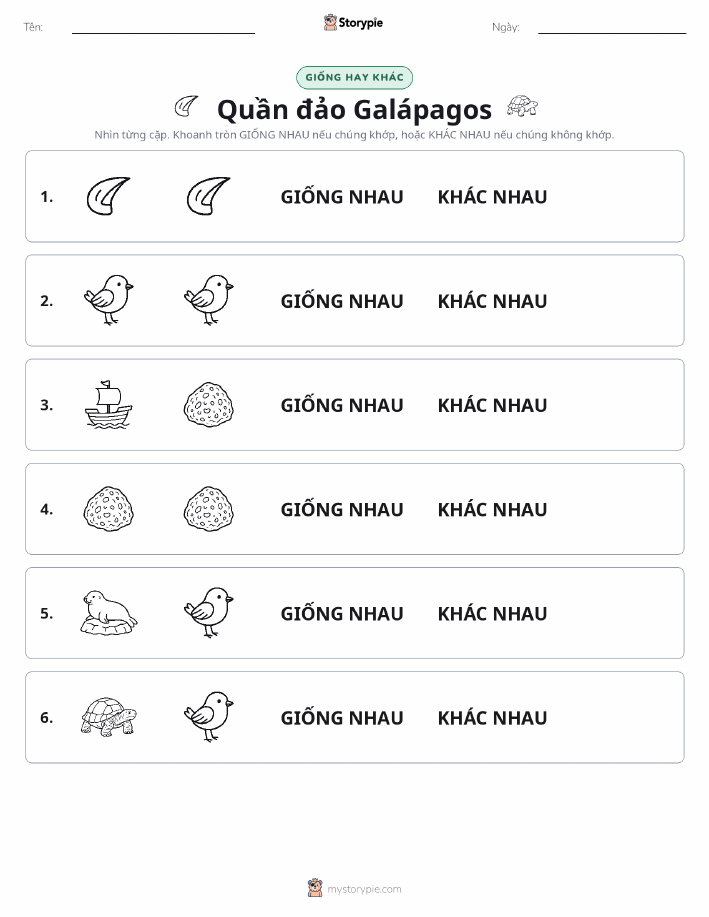 Giống Hay Khác