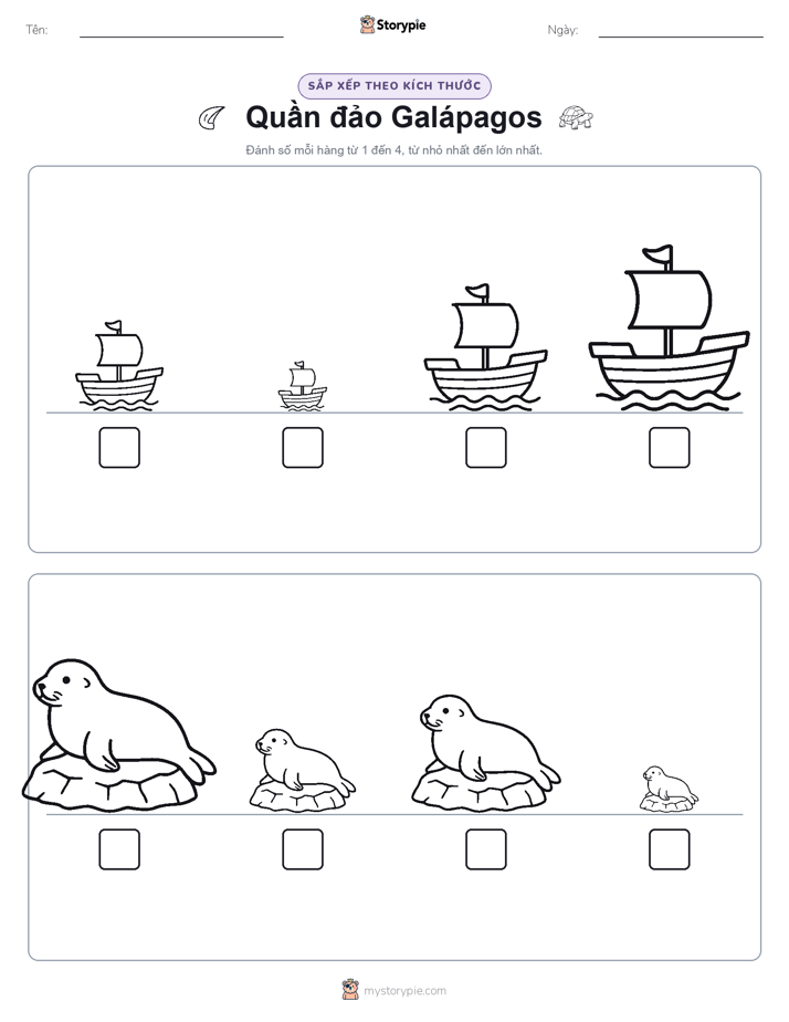 Thứ Tự Kích Thước