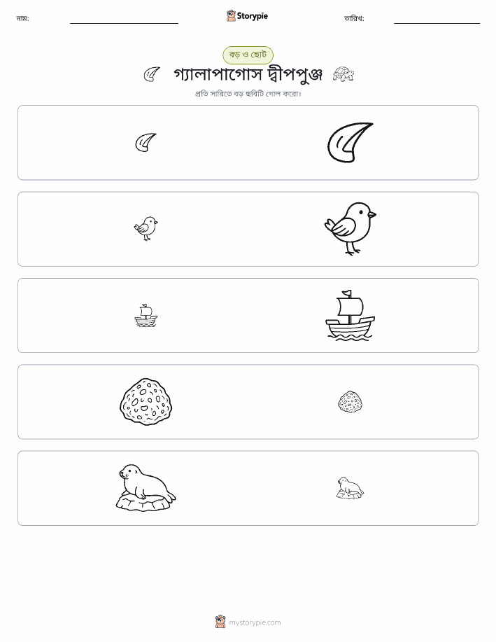 সাজানো