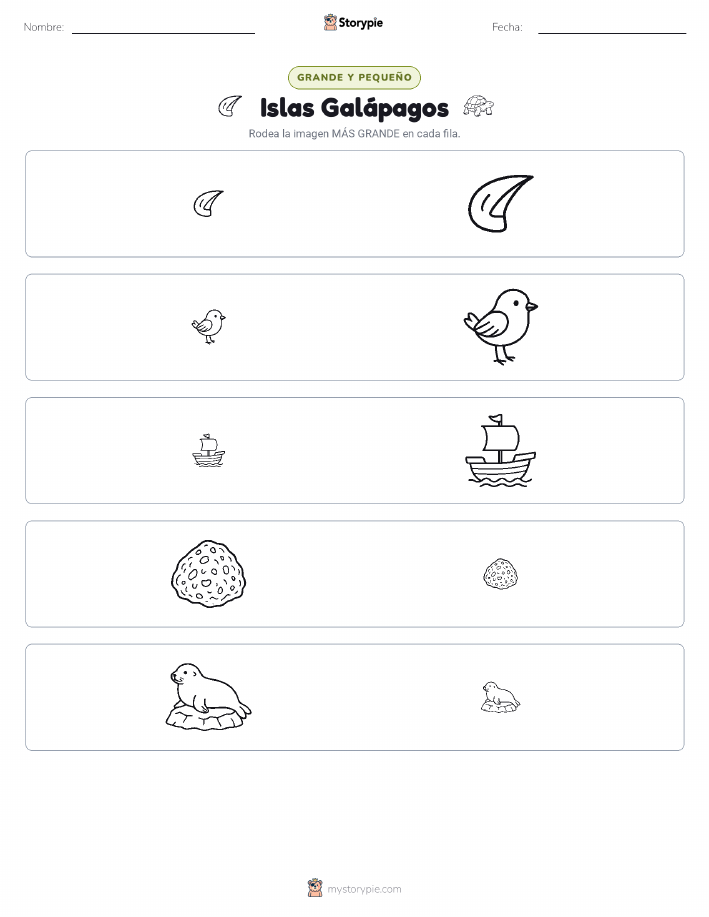 Clasificación