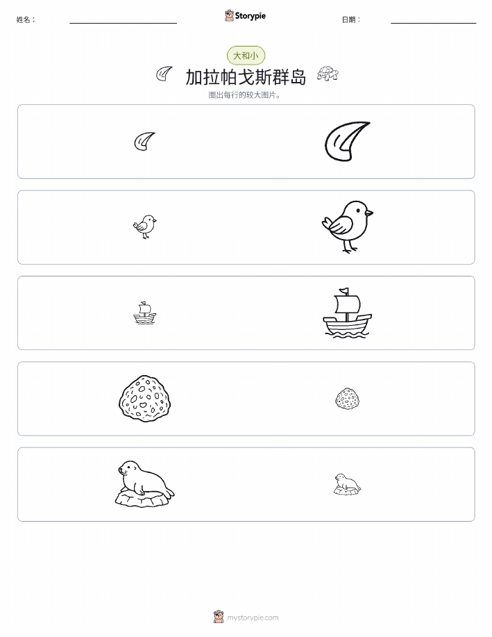 分类