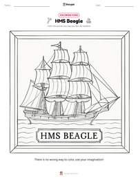HMS Beagle printable worksheet preview